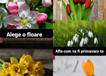 Testul florilor