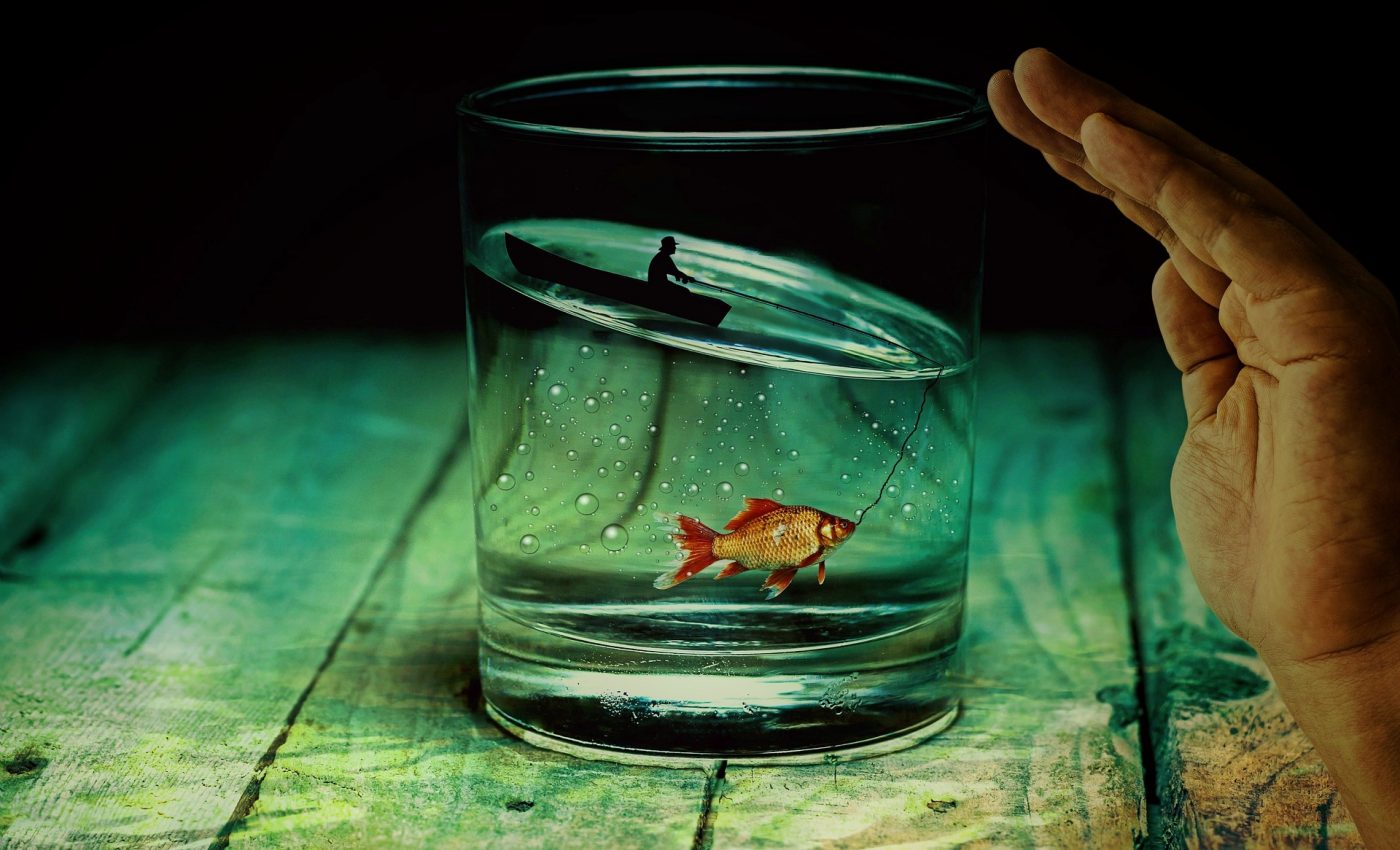 ce inseamna cand visezi peste - sfatulparintilor.ro - pixabay_com - water-glass-2542790_1920